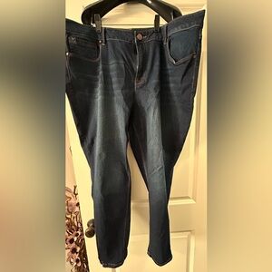 Blue 1822 Denim Jean Women's 22W